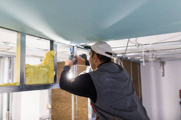 Best DIY Insulation Kits and Guidance in Clifton, TX